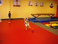 Juni2008 017